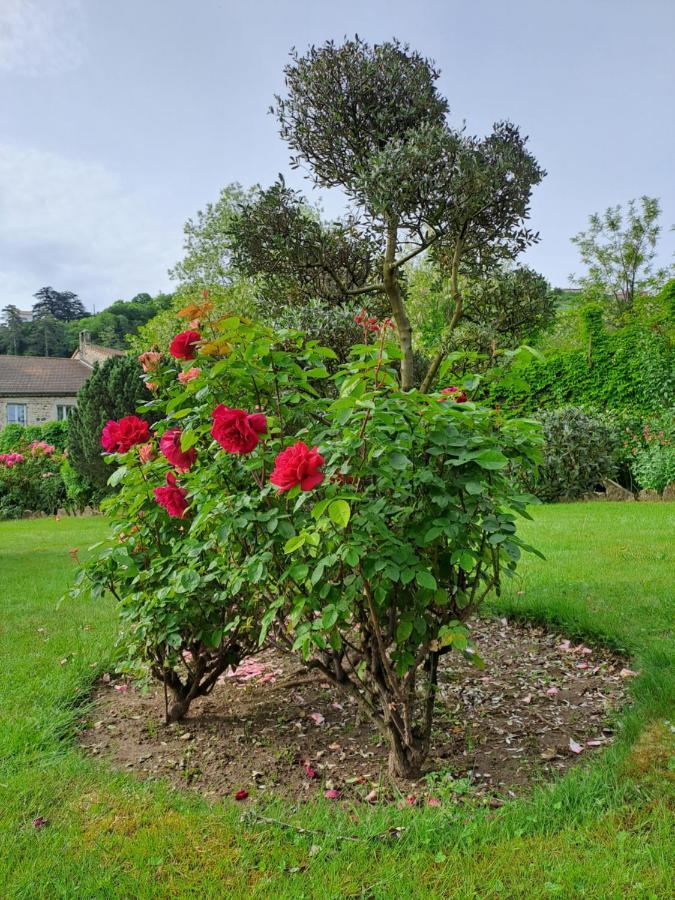 Gite 2 "Le Tilia " Aux Magnolias 3 Etoiles Обена Екстериор снимка